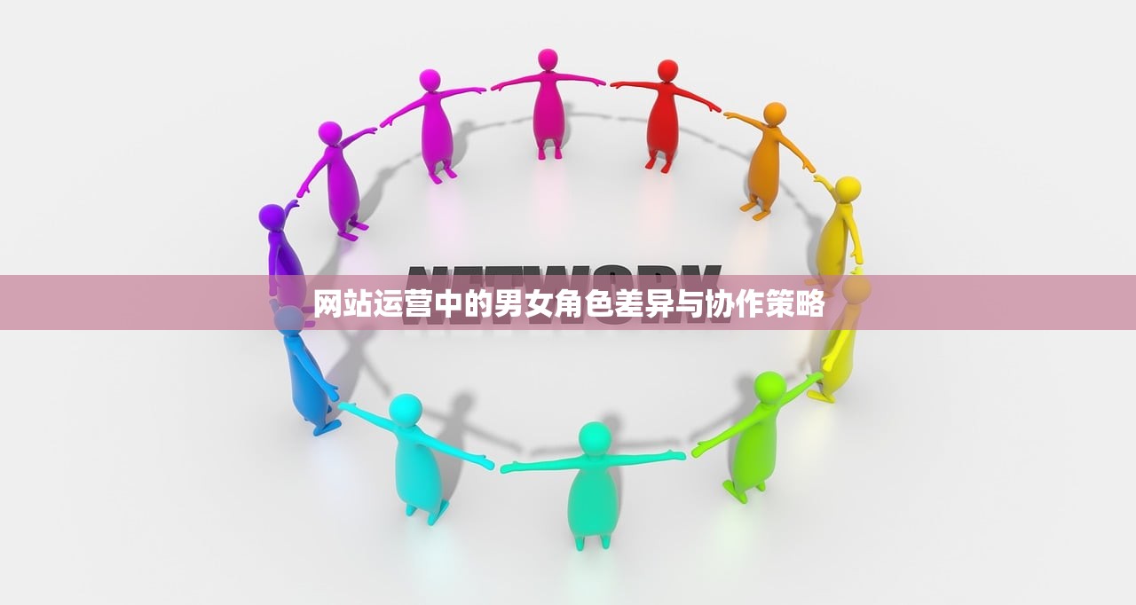 网站运营中的男女角色差异与协作策略