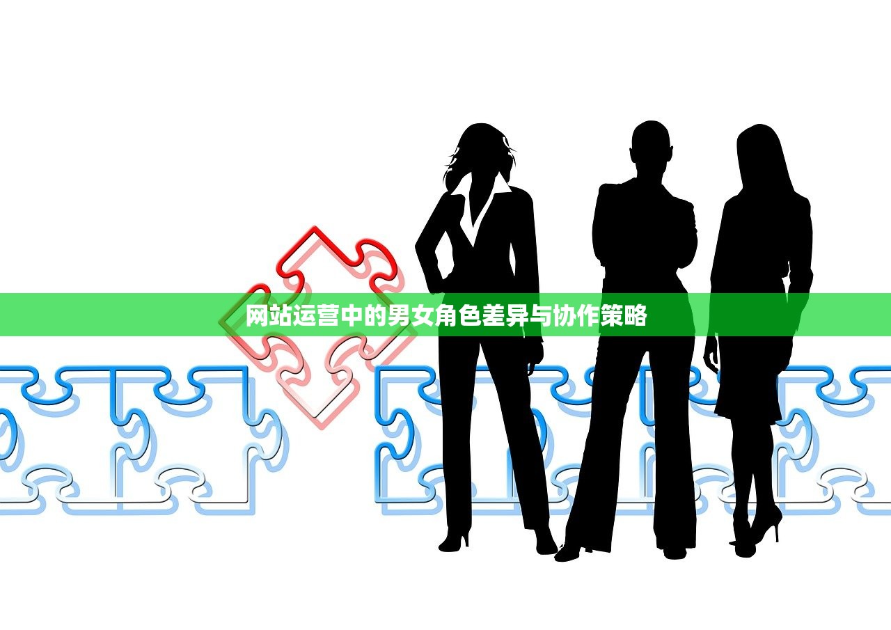 网站运营中的男女角色差异与协作策略