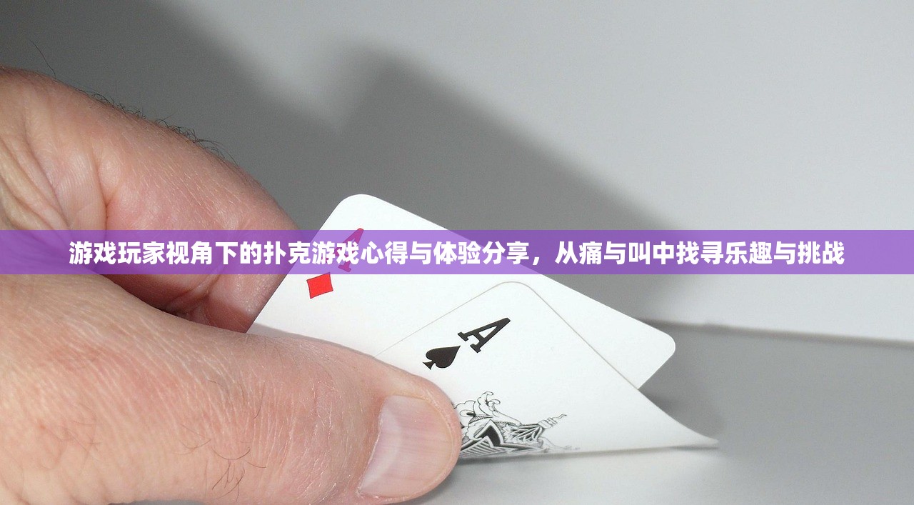 游戏玩家视角下的扑克游戏心得与体验分享，从痛与叫中找寻乐趣与挑战