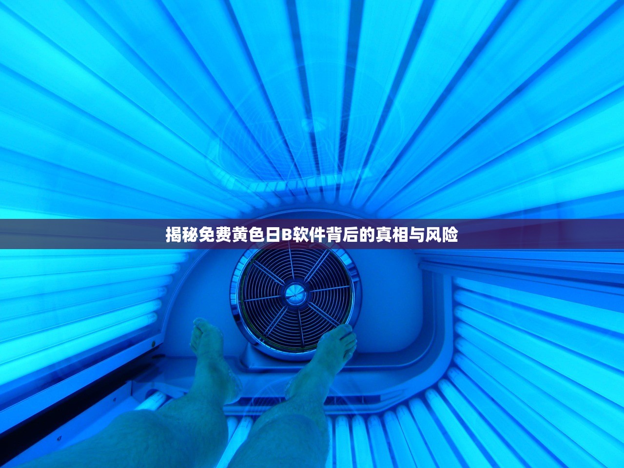 揭秘免费黄色日B软件背后的真相与风险