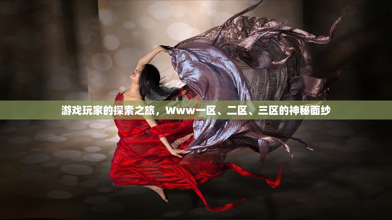 游戏玩家的探索之旅，Www一区、二区、三区的神秘面纱