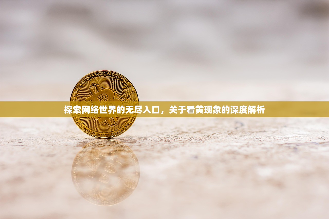 探索网络世界的无尽入口，关于看黄现象的深度解析