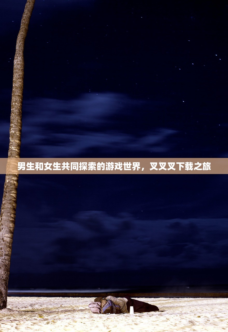 男生和女生共同探索的游戏世界，叉叉叉下载之旅