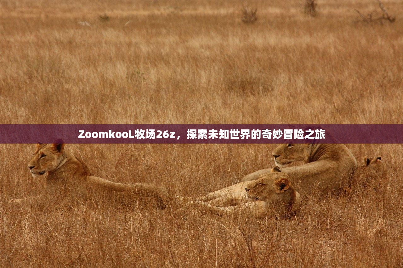 ZoomkooL牧场26z，探索未知世界的奇妙冒险之旅