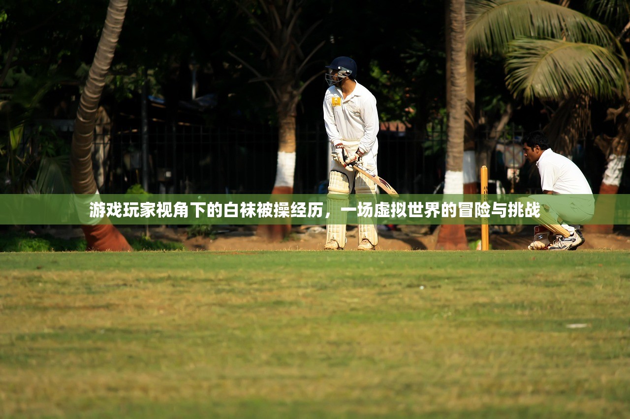 游戏玩家视角下的白袜被操经历，一场虚拟世界的冒险与挑战