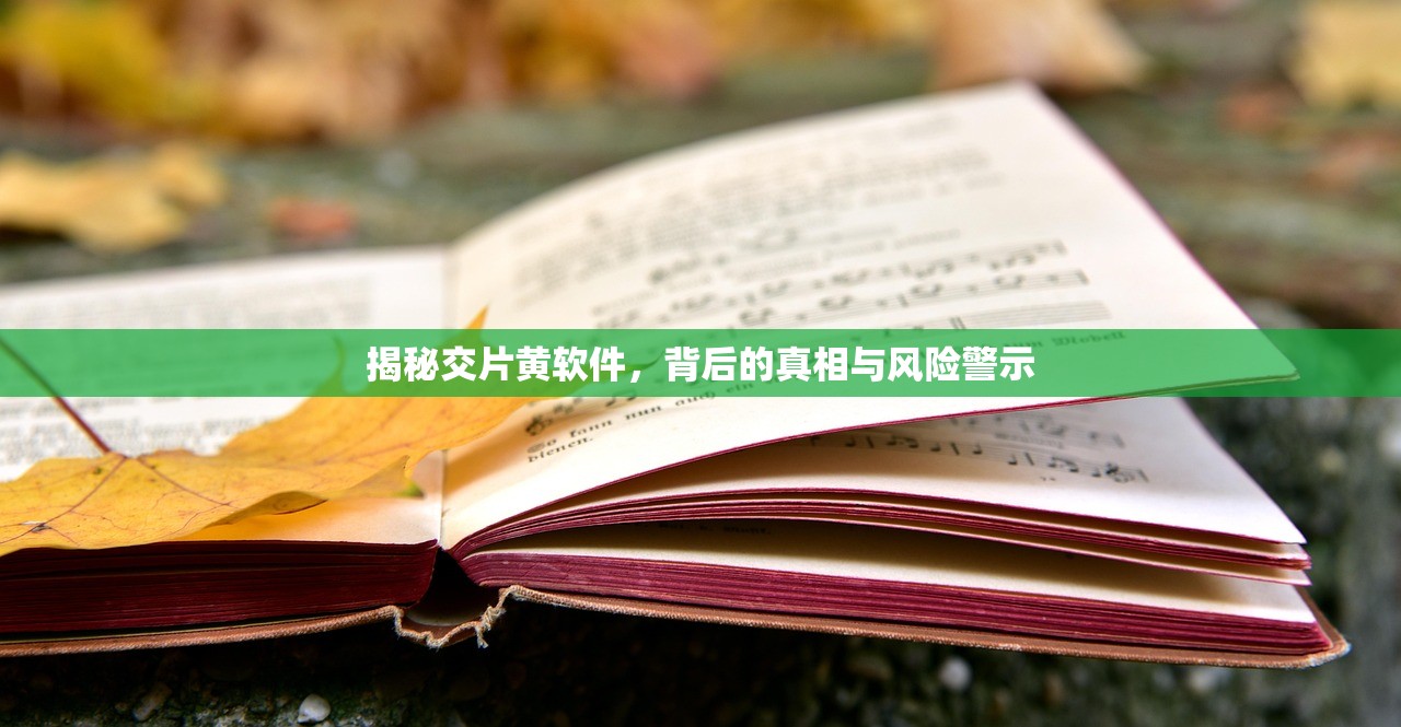揭秘交片黄软件，背后的真相与风险警示
