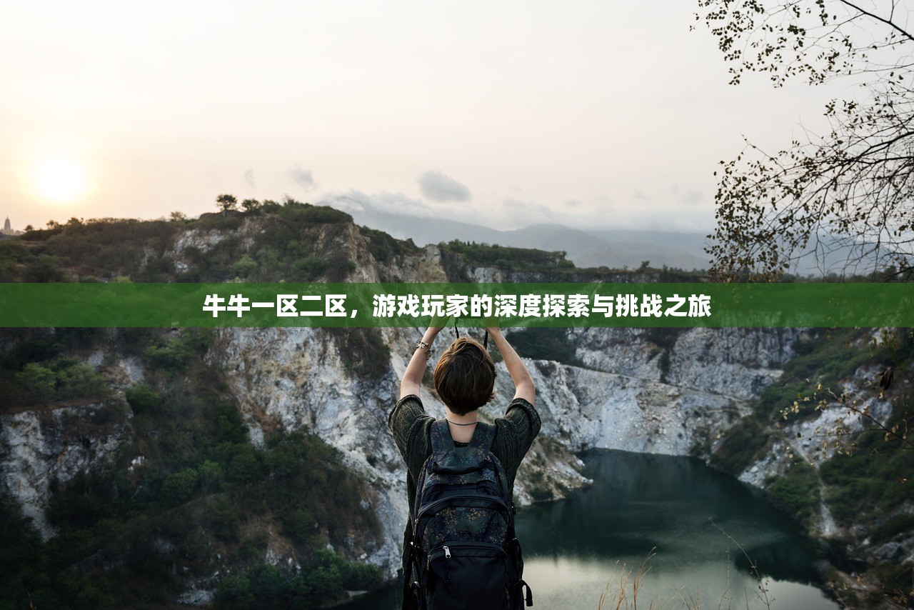 牛牛一区二区，游戏玩家的深度探索与挑战之旅