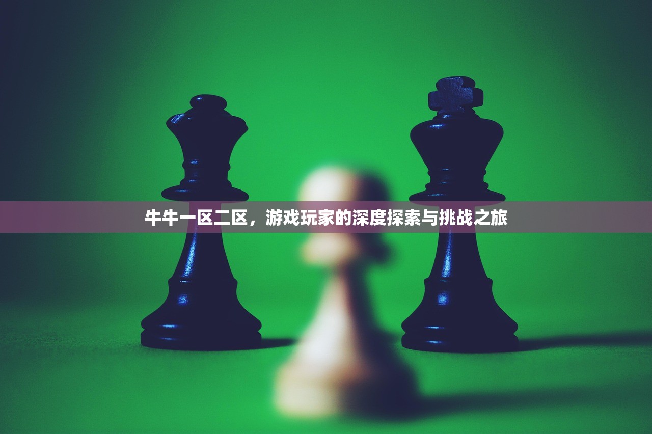 牛牛一区二区，游戏玩家的深度探索与挑战之旅