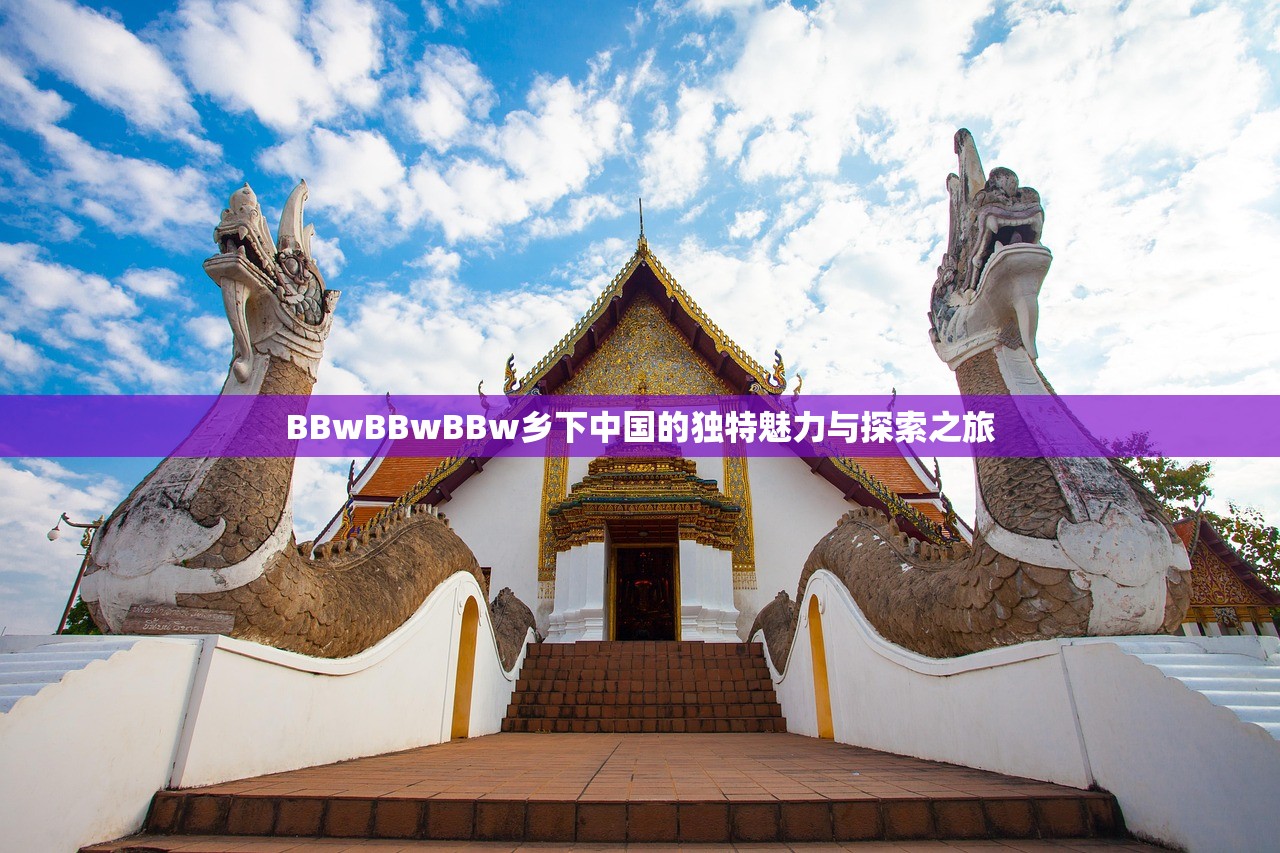 BBwBBwBBw乡下中国的独特魅力与探索之旅