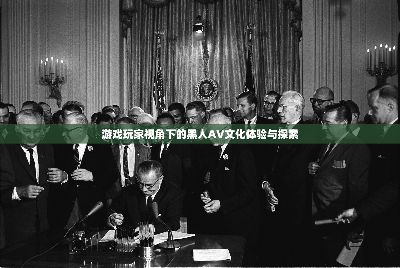 游戏玩家视角下的黑人AV文化体验与探索