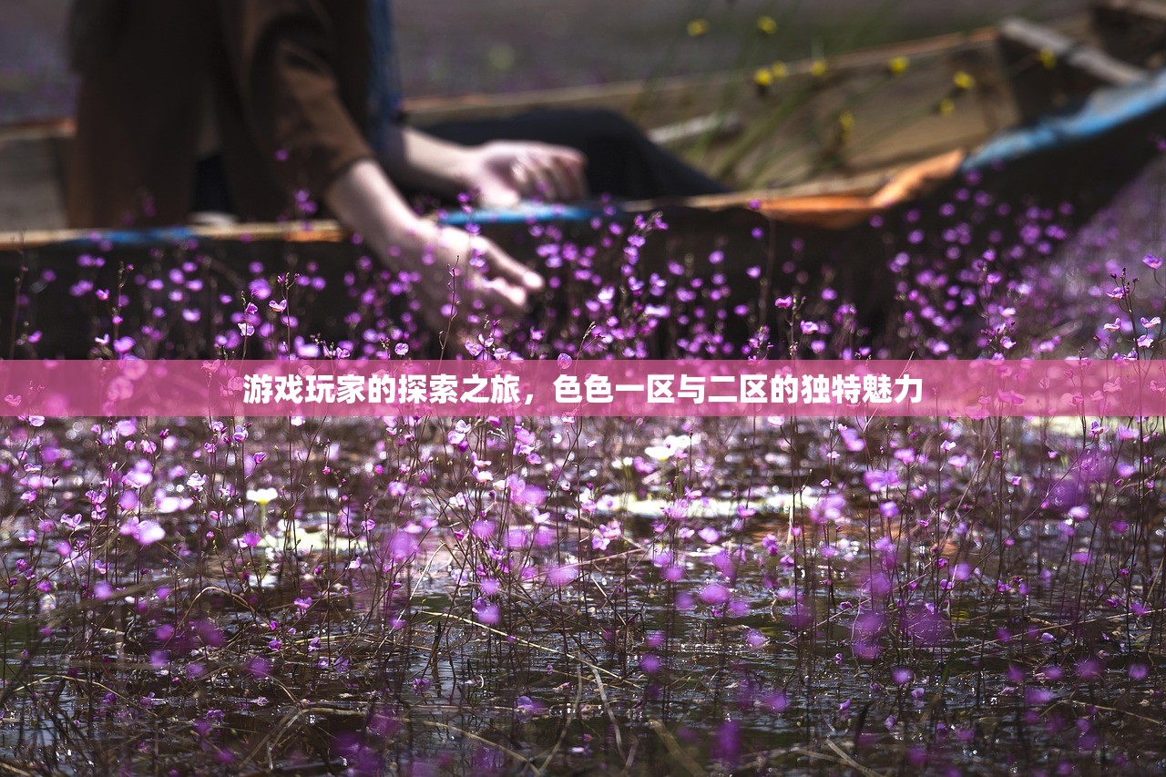 游戏玩家的探索之旅，色色一区与二区的独特魅力