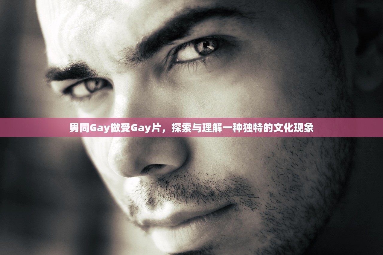 男同Gay做受Gay片，探索与理解一种独特的文化现象