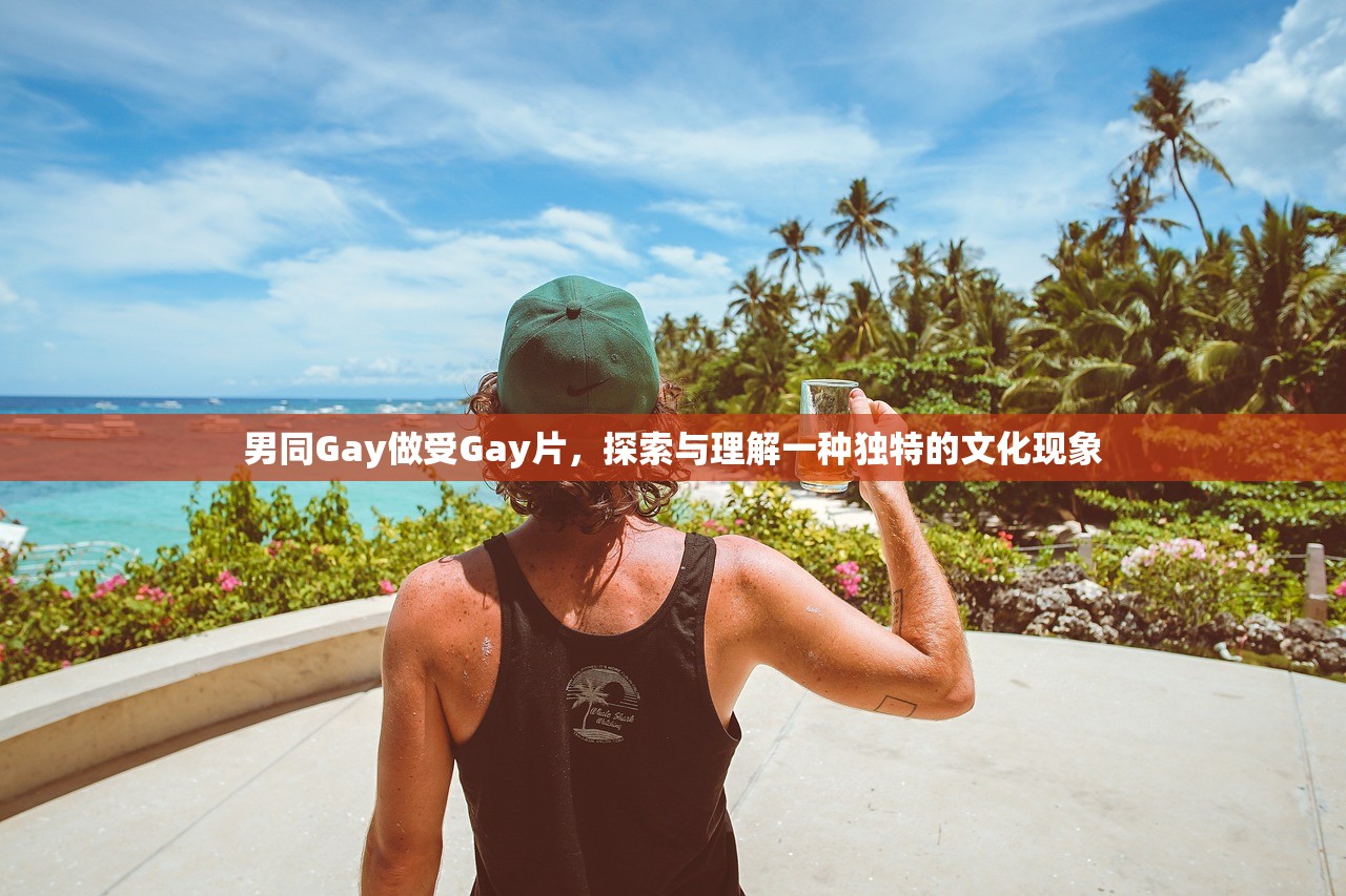 男同Gay做受Gay片，探索与理解一种独特的文化现象