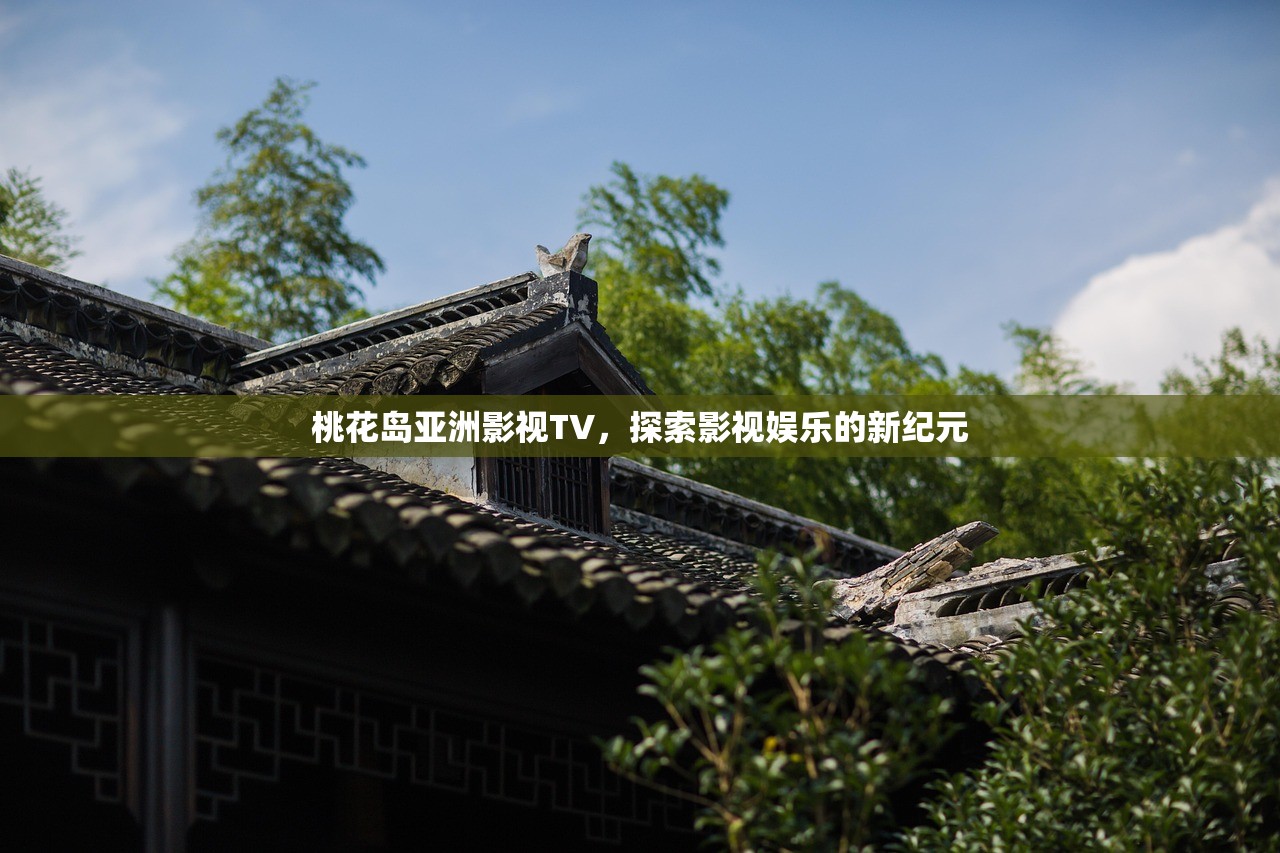 桃花岛亚洲影视TV，探索影视娱乐的新纪元