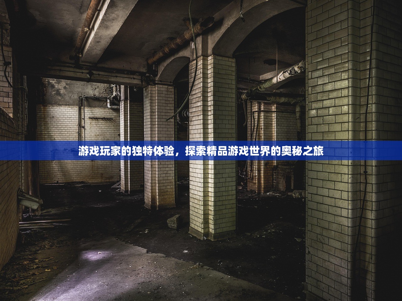 游戏玩家的独特体验，探索精品游戏世界的奥秘之旅