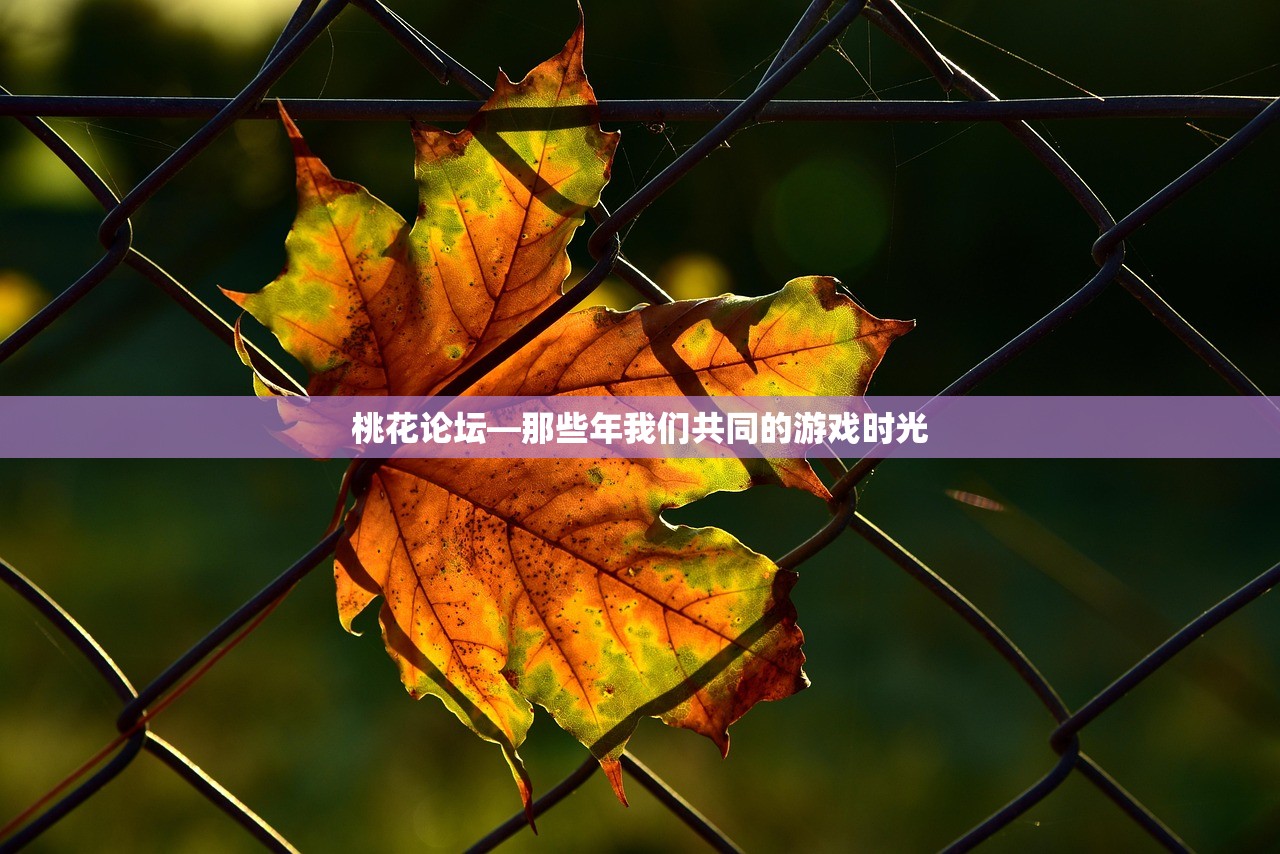 桃花论坛—那些年我们共同的游戏时光