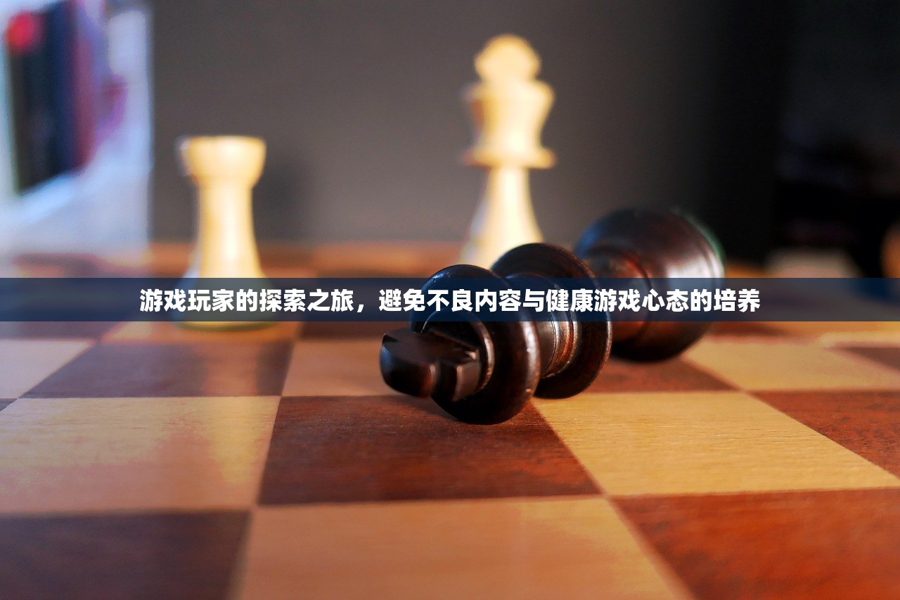 游戏玩家的探索之旅，避免不良内容与健康游戏心态的培养