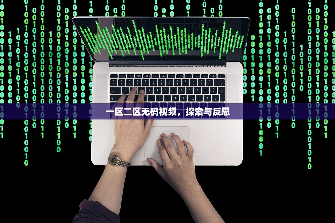 一区二区无码视频，探索与反思