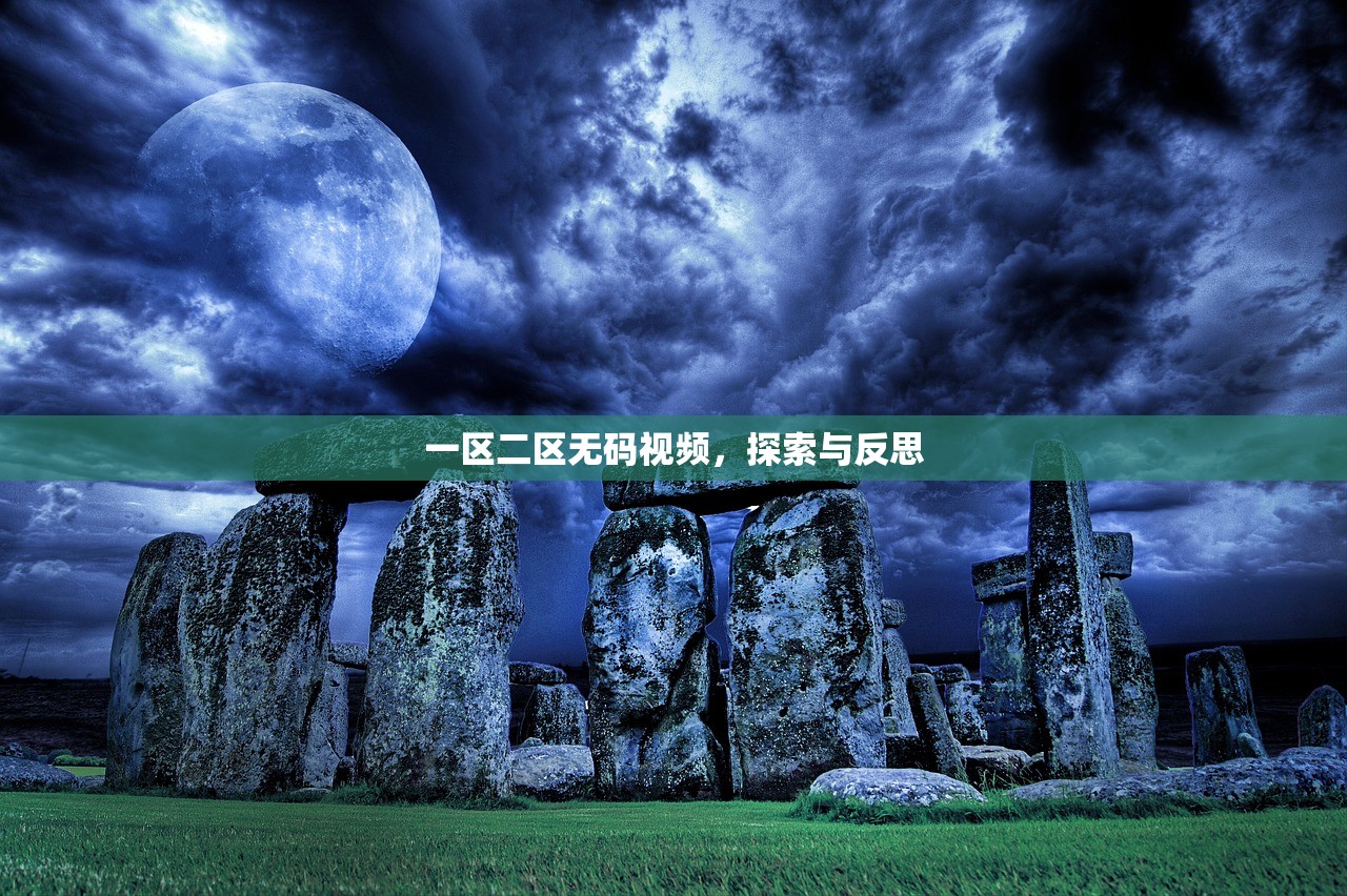 一区二区无码视频，探索与反思