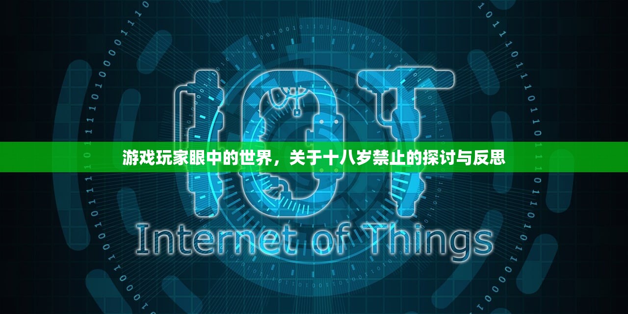 游戏玩家眼中的世界，关于十八岁禁止的探讨与反思