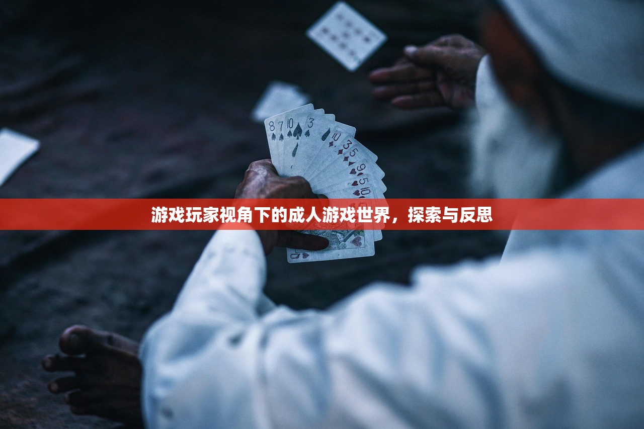 游戏玩家视角下的成人游戏世界，探索与反思