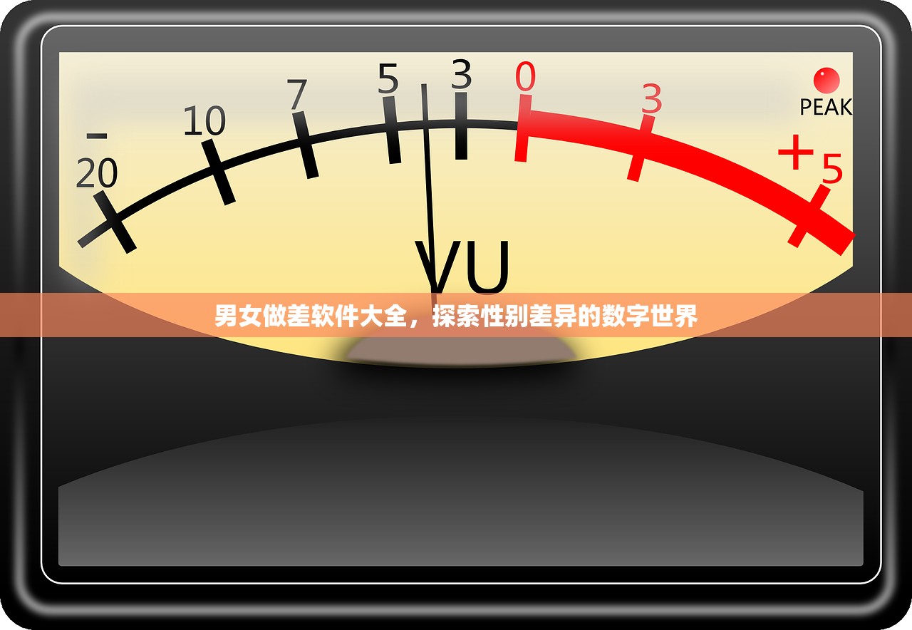 男女做差软件大全，探索性别差异的数字世界