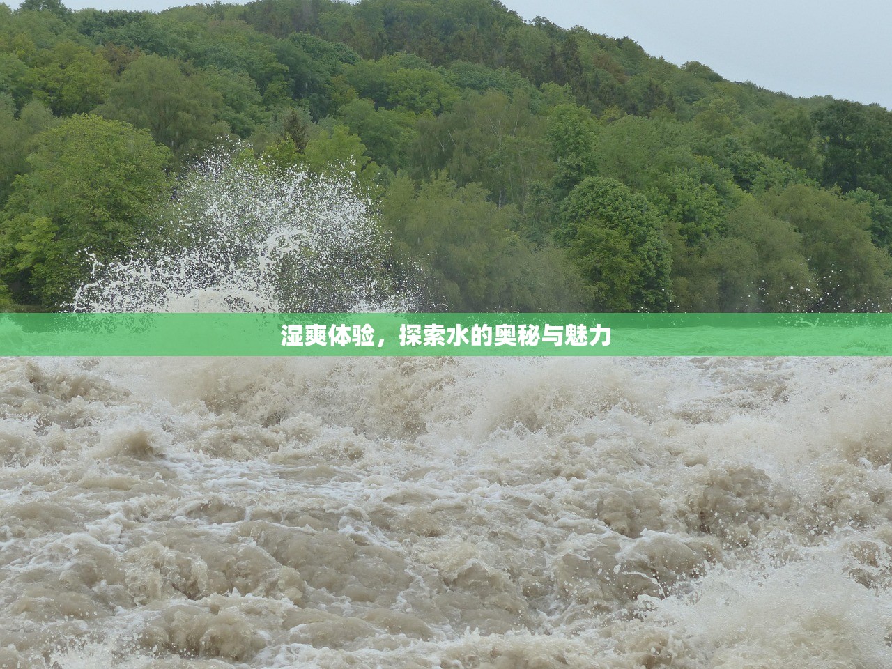 湿爽体验，探索水的奥秘与魅力