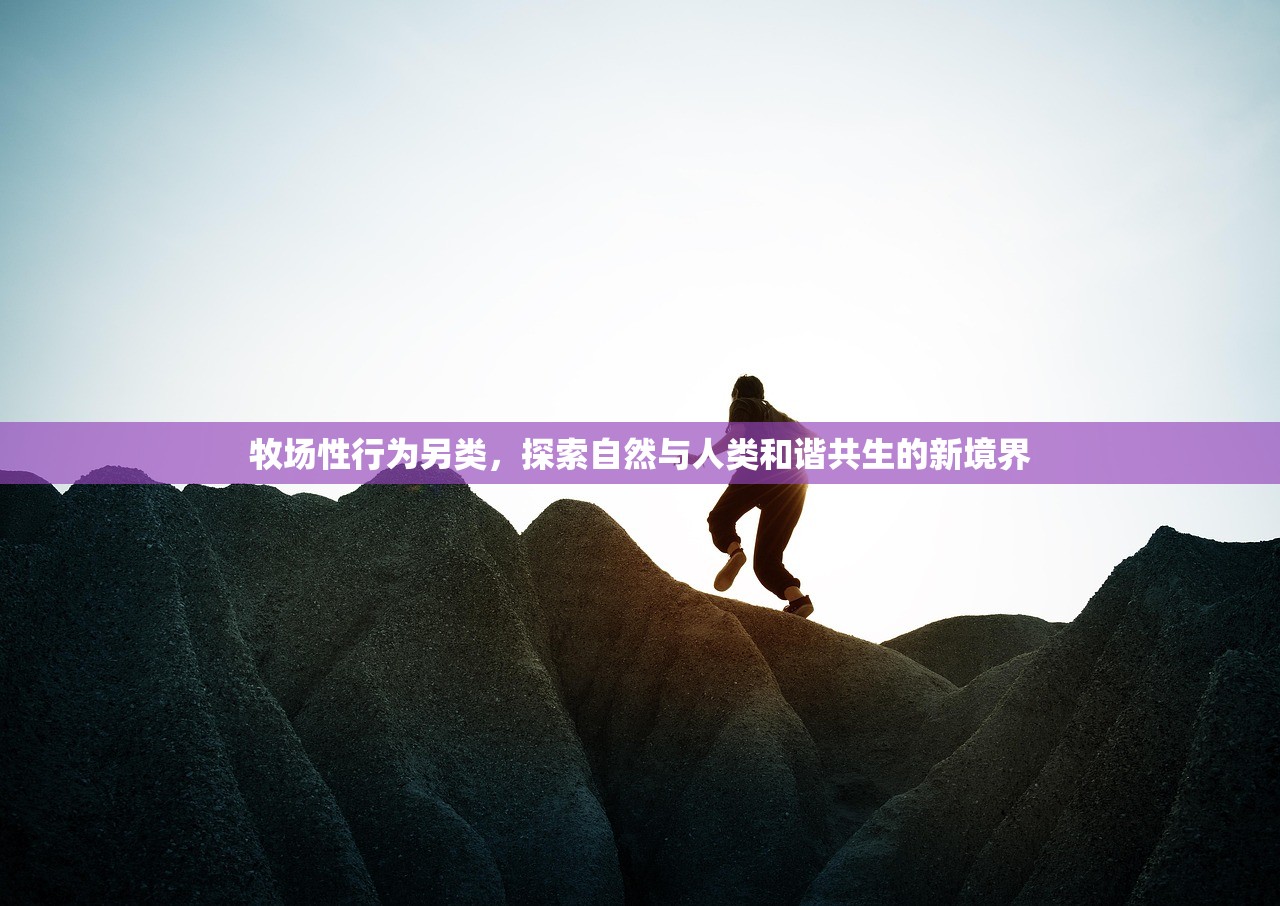牧场性行为另类，探索自然与人类和谐共生的新境界