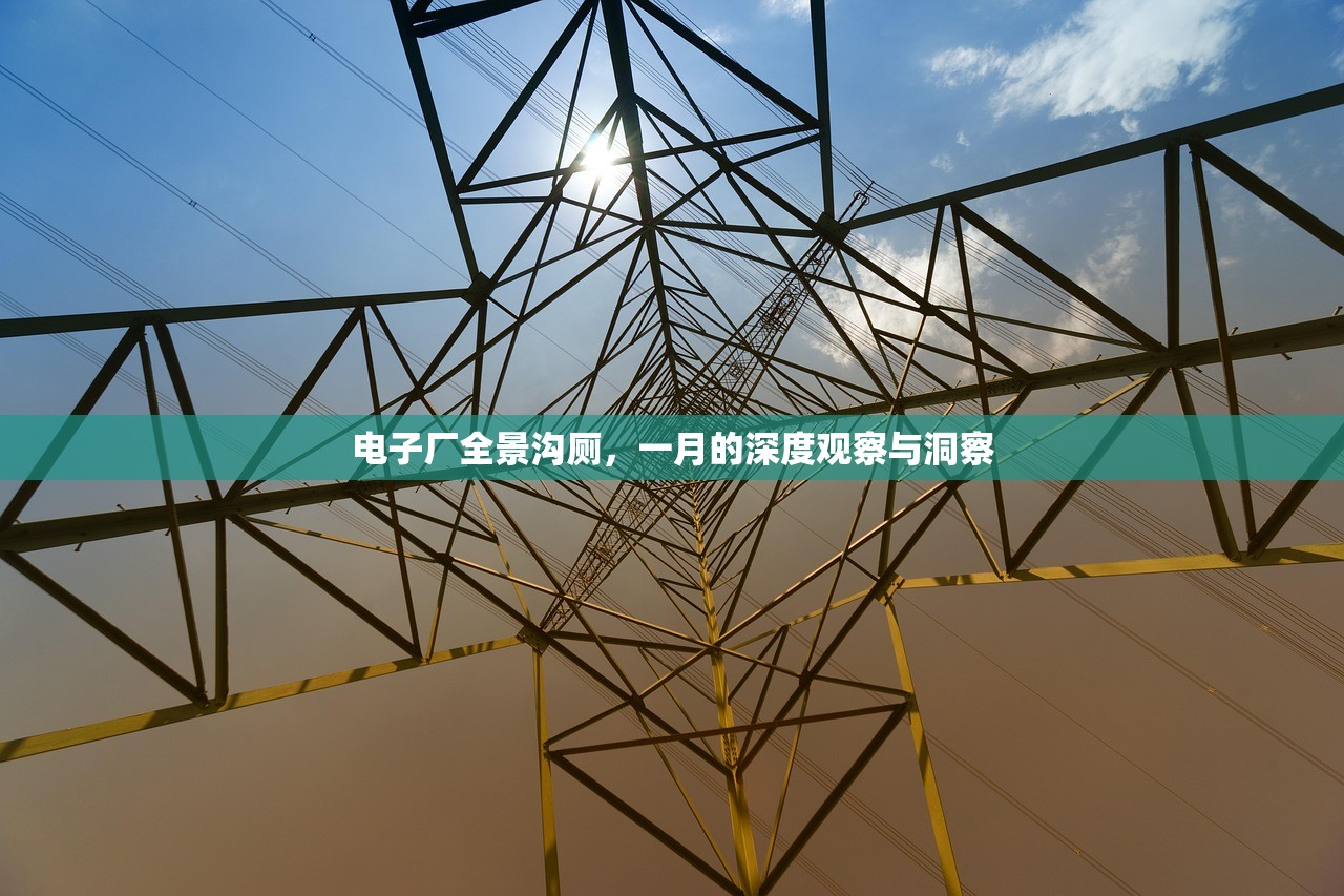 电子厂全景沟厕，一月的深度观察与洞察