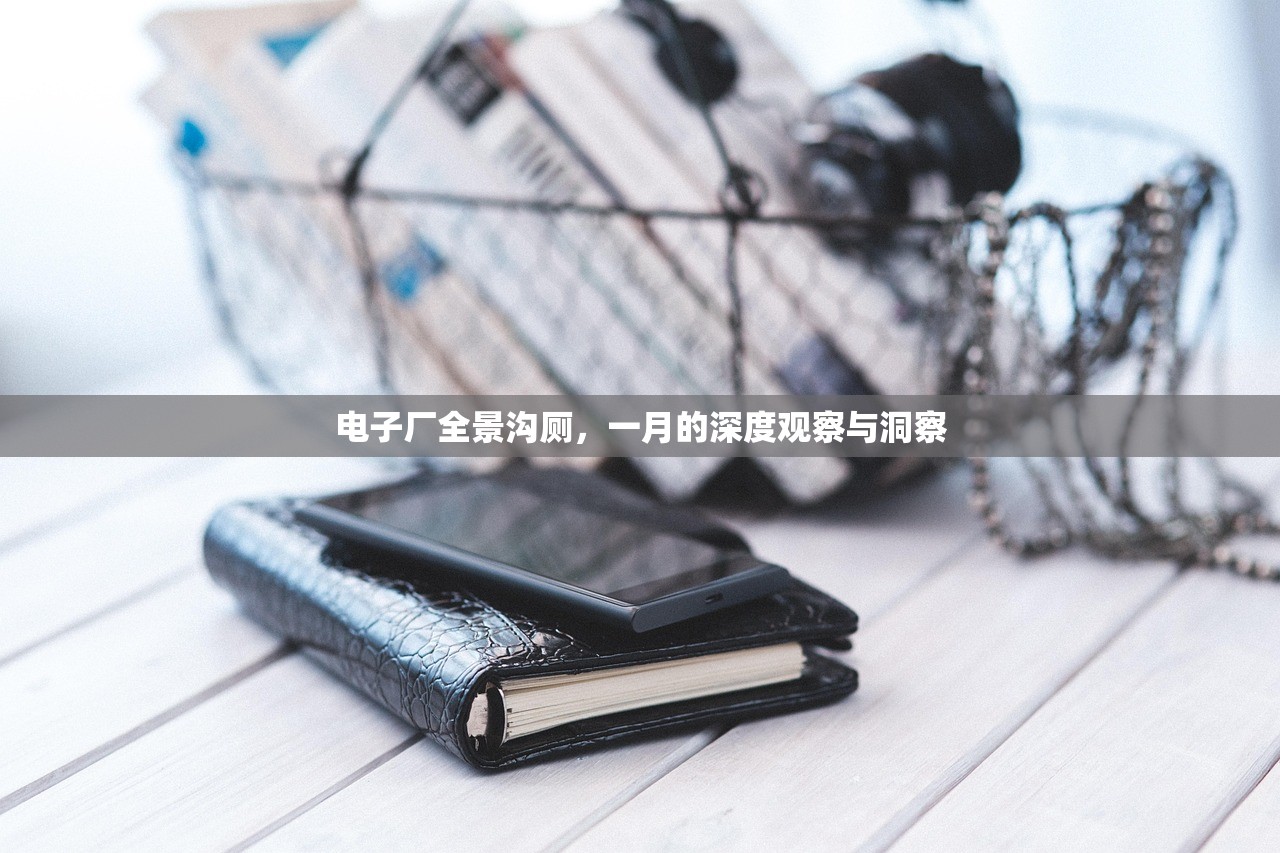 电子厂全景沟厕，一月的深度观察与洞察