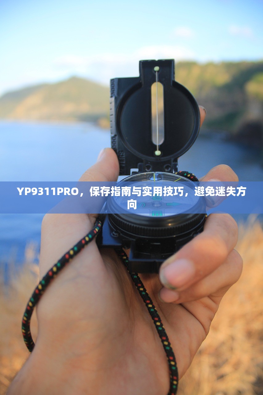 YP9311PRO，保存指南与实用技巧，避免迷失方向