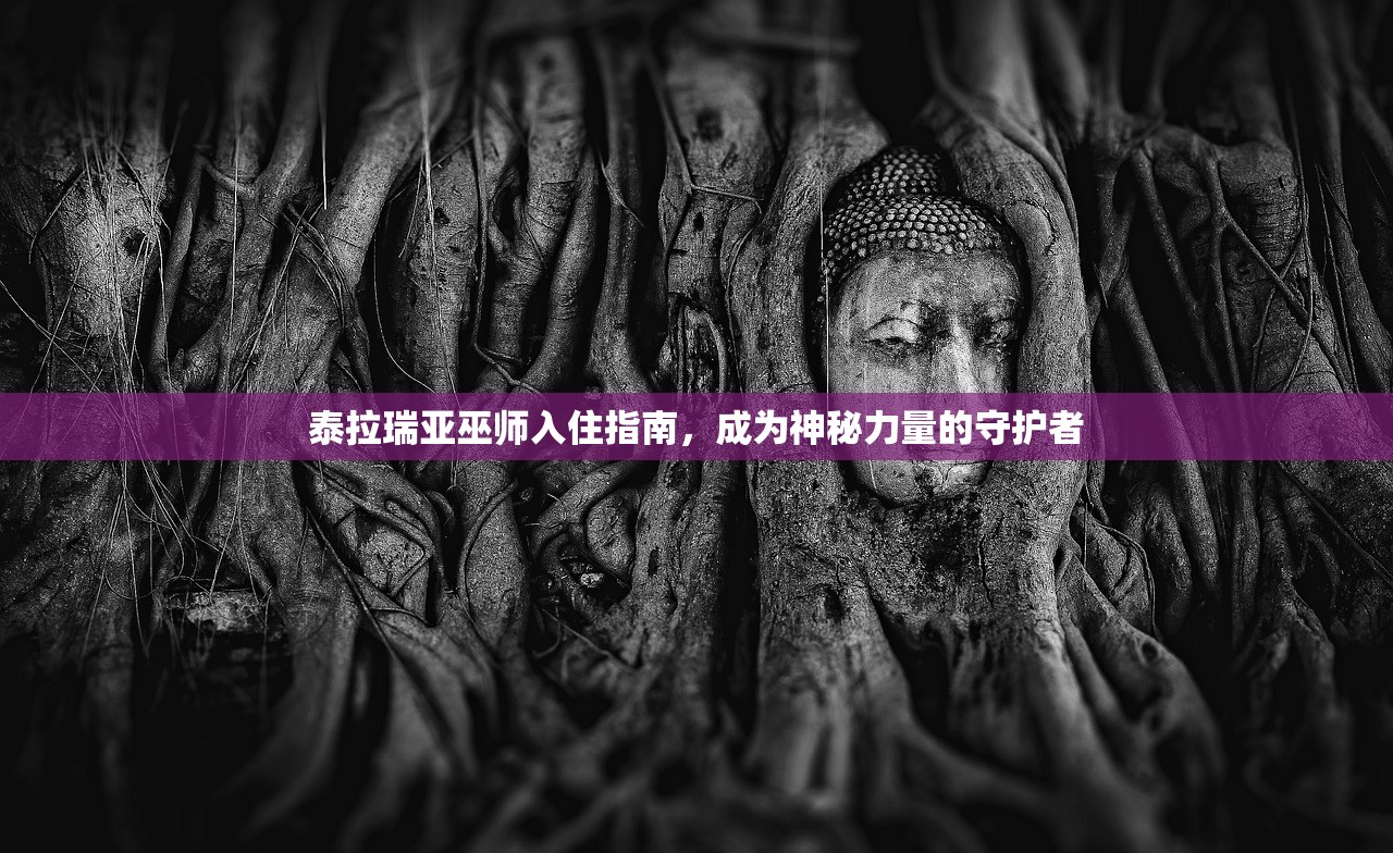 泰拉瑞亚巫师入住指南，成为神秘力量的守护者
