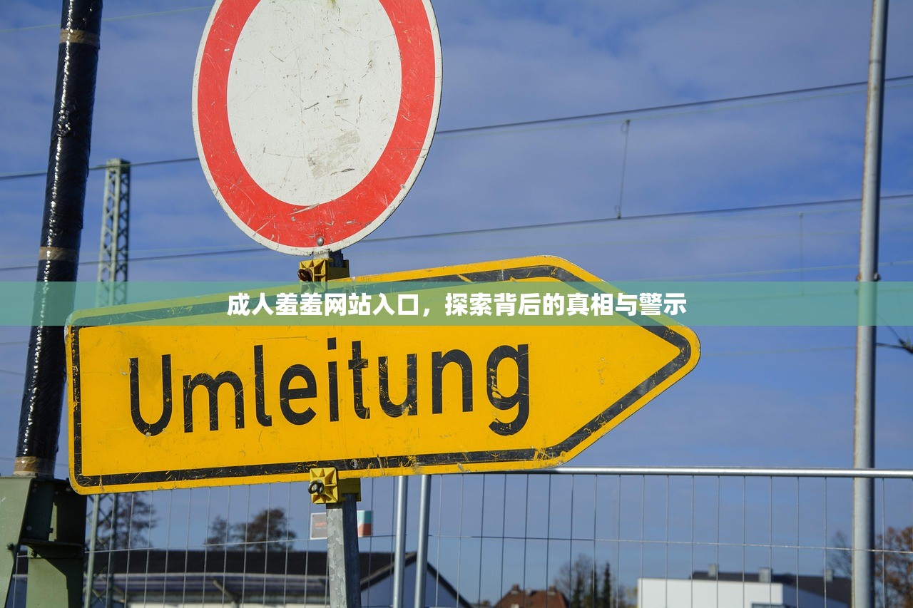 成人羞羞网站入口，探索背后的真相与警示