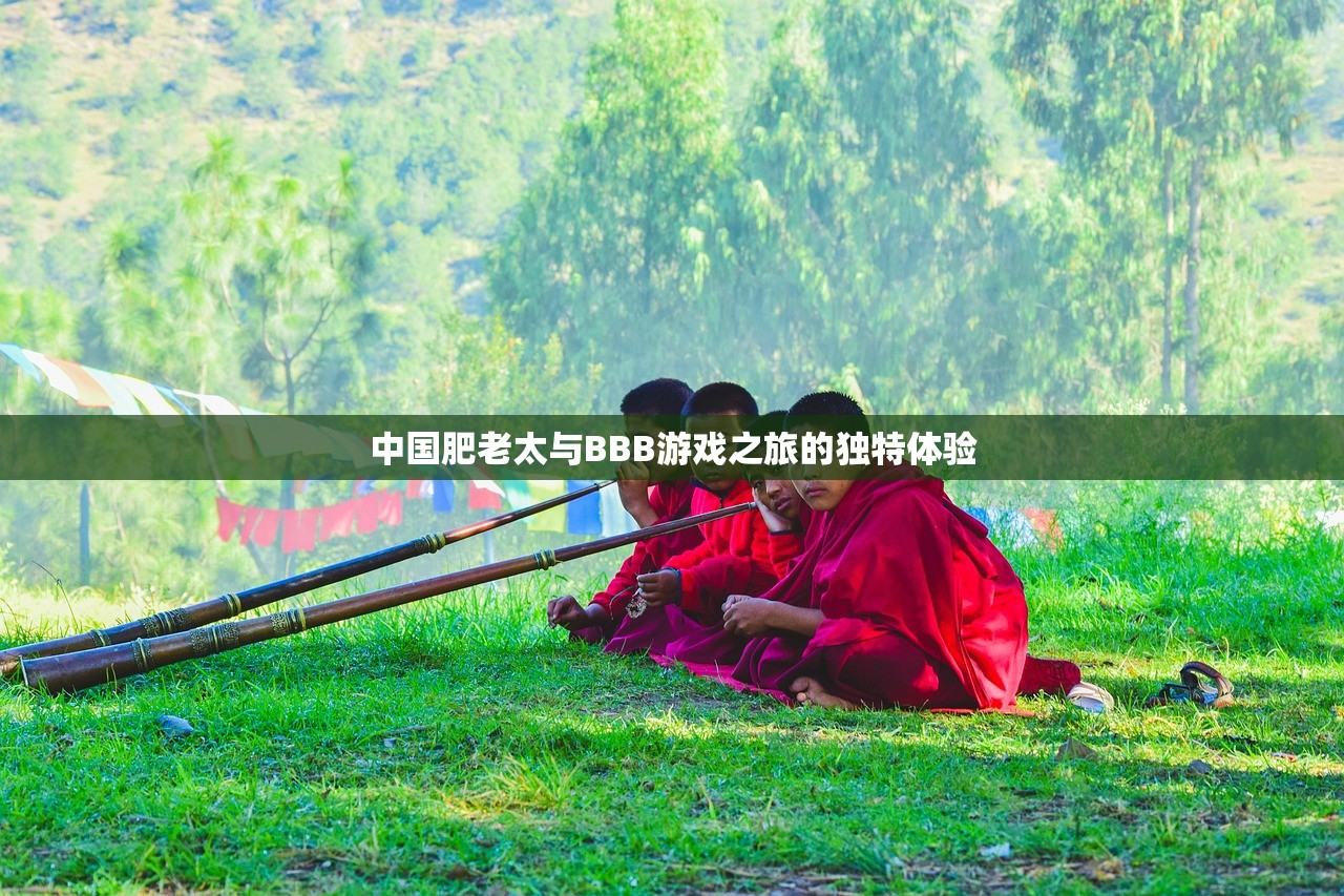 中国肥老太与BBB游戏之旅的独特体验