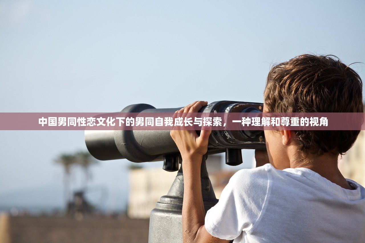 中国男同性恋文化下的男同自我成长与探索，一种理解和尊重的视角