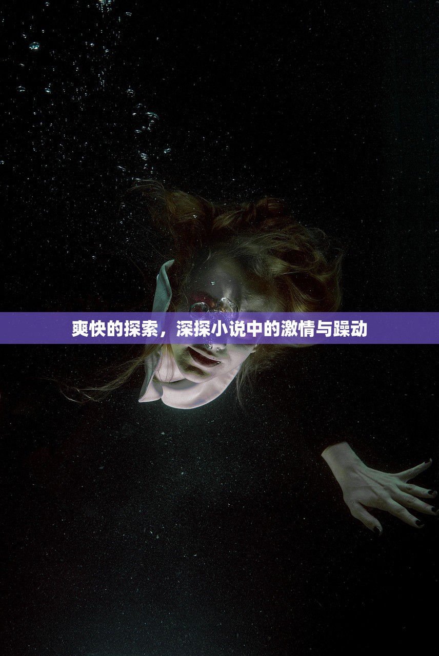 爽快的探索，深探小说中的激情与躁动