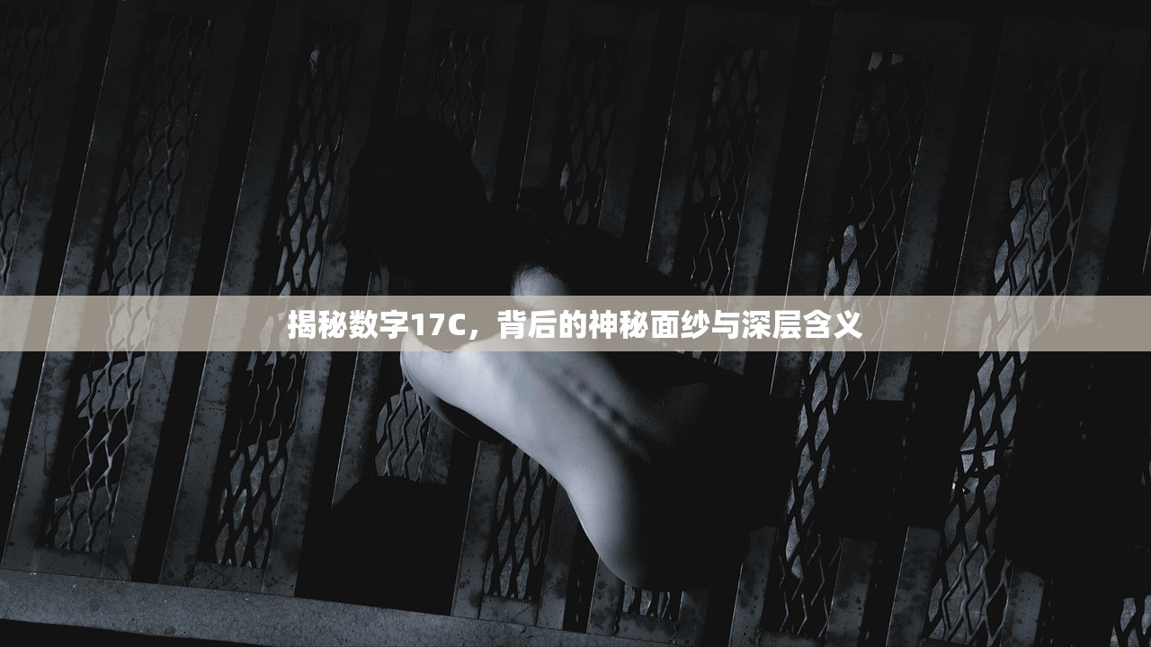 揭秘数字17C，背后的神秘面纱与深层含义