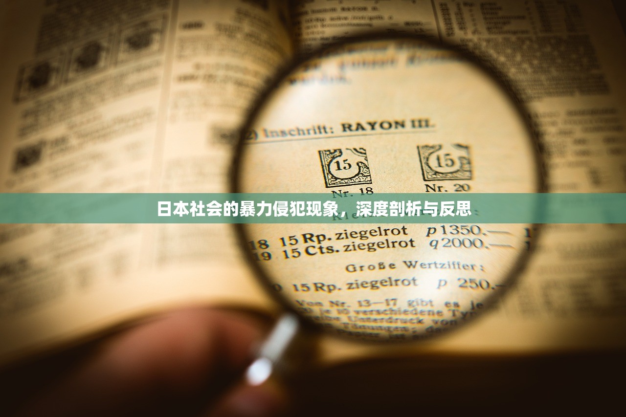 日本社会的暴力侵犯现象，深度剖析与反思