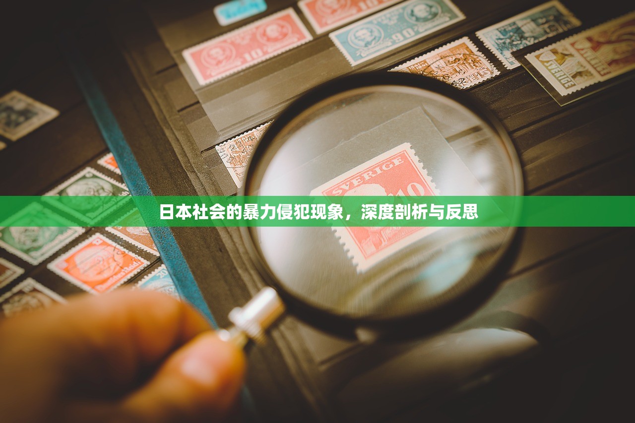 日本社会的暴力侵犯现象，深度剖析与反思