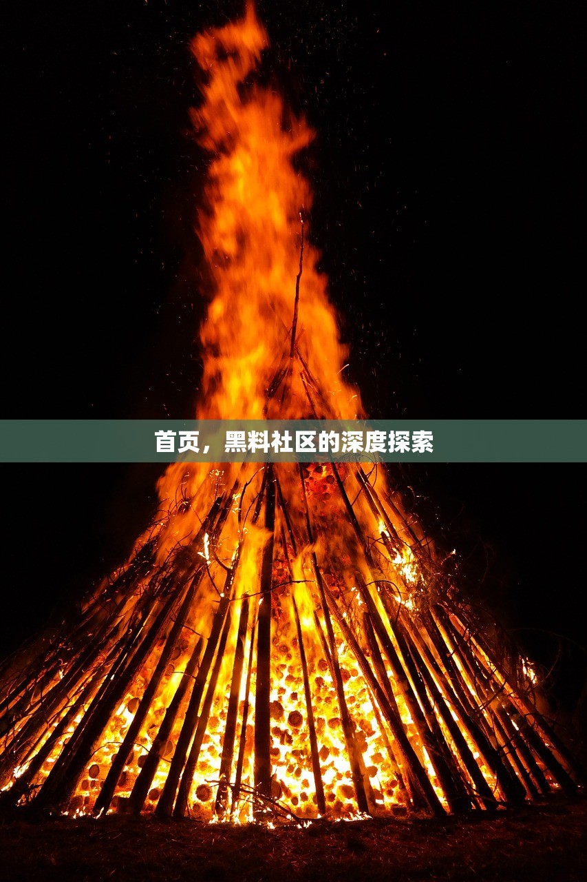 首页，黑料社区的深度探索