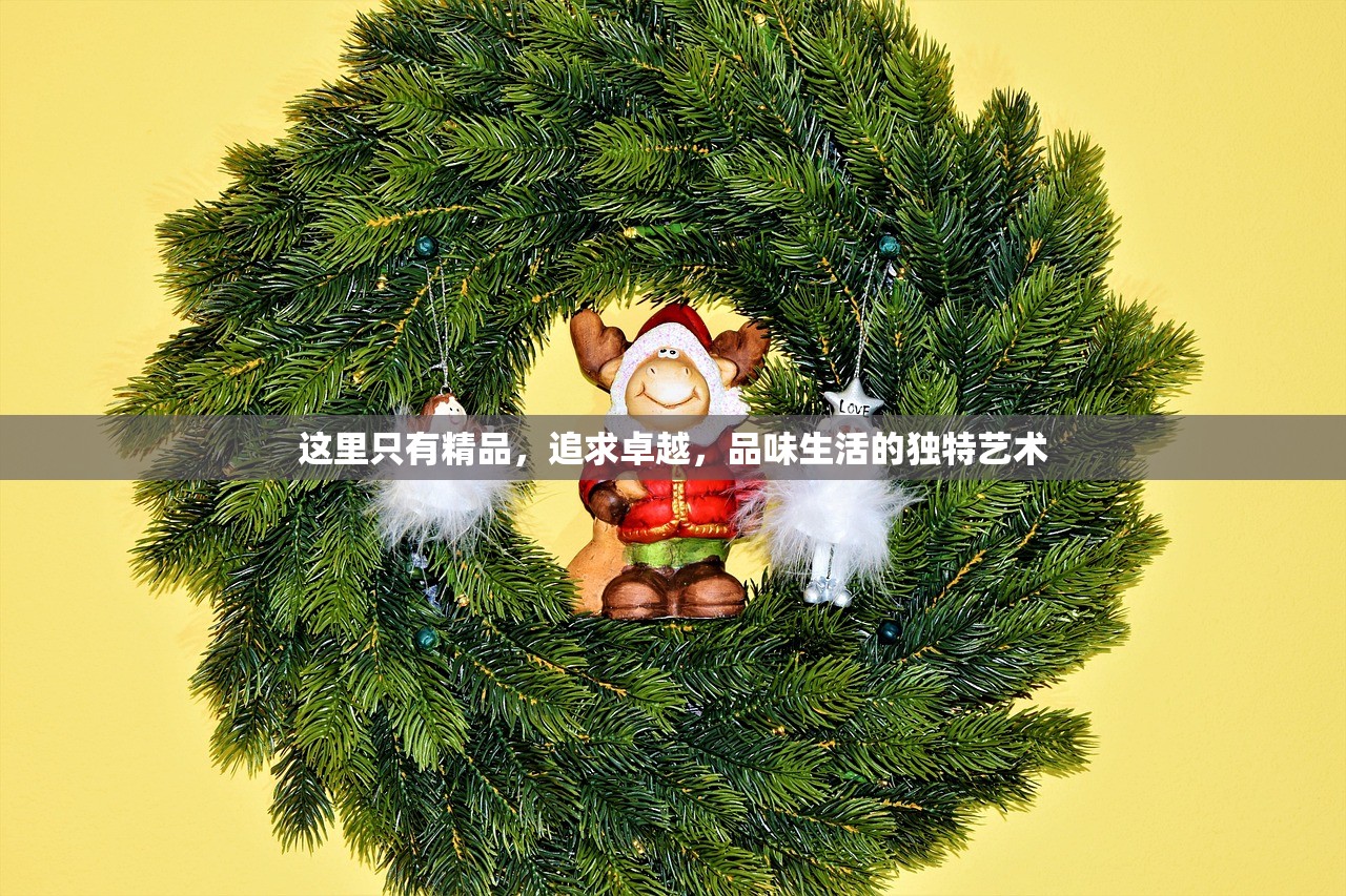 这里只有精品，追求卓越，品味生活的独特艺术