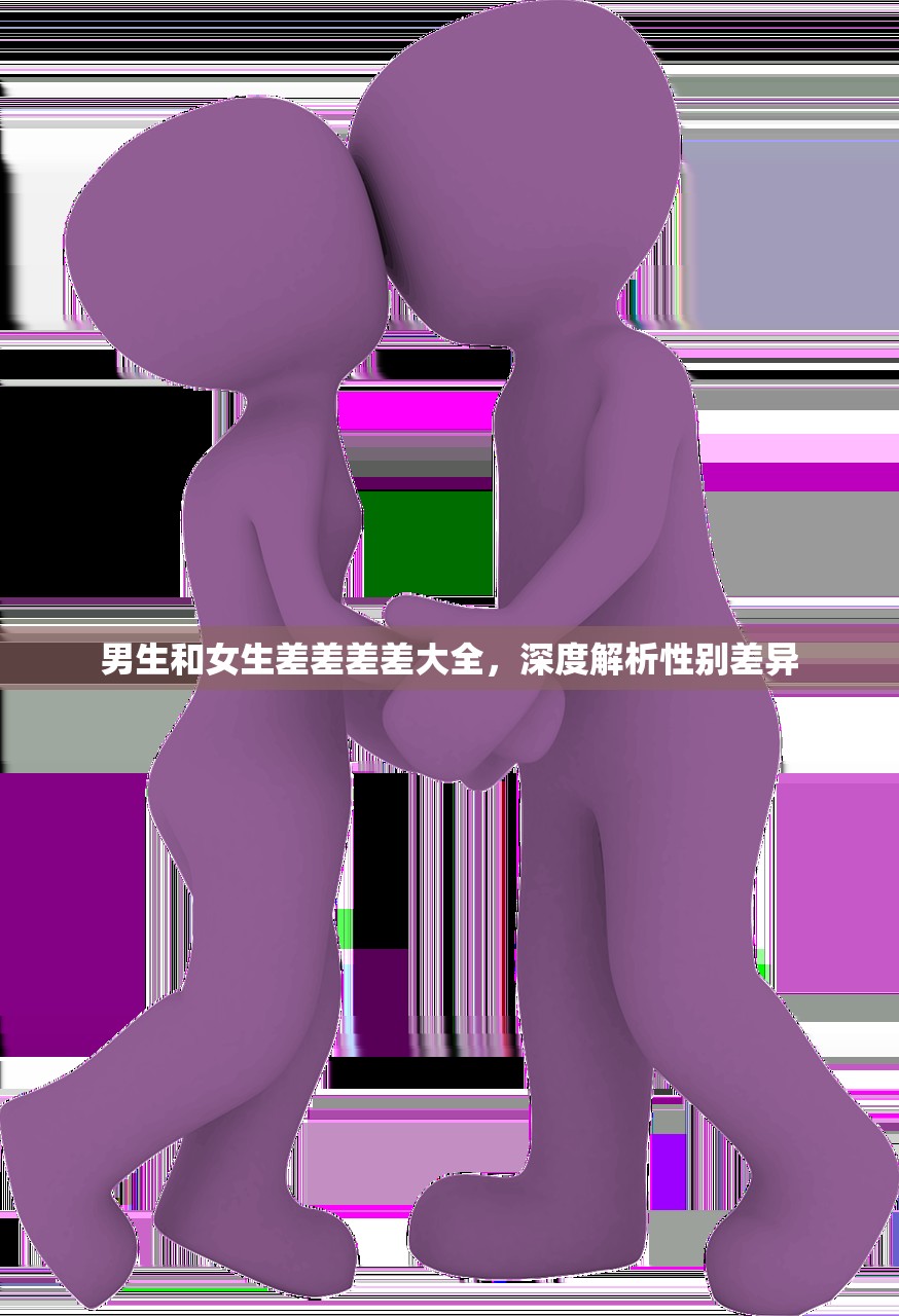 男生和女生差差差差大全，深度解析性别差异