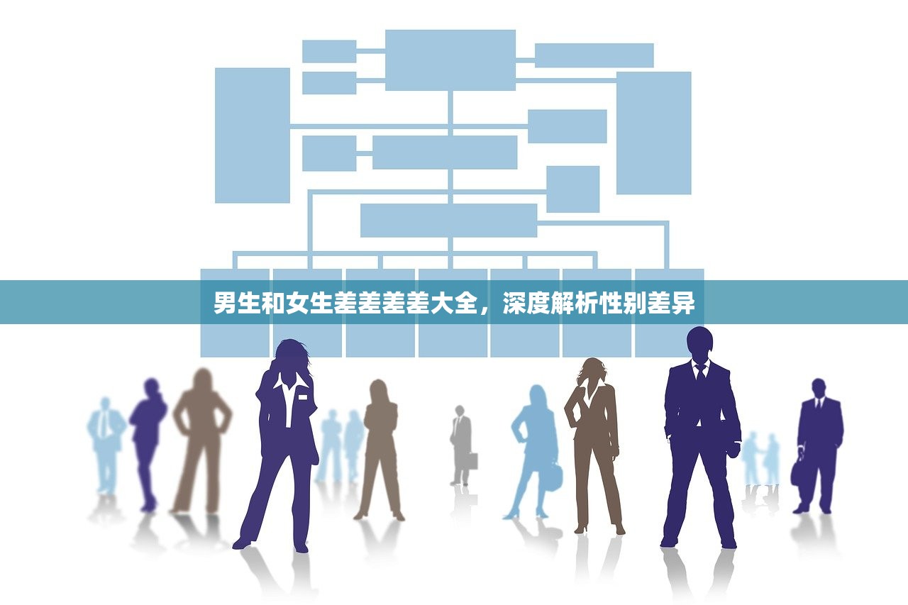 男生和女生差差差差大全，深度解析性别差异