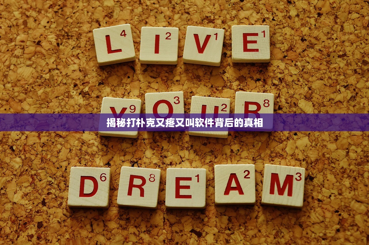 揭秘打朴克又疼又叫软件背后的真相