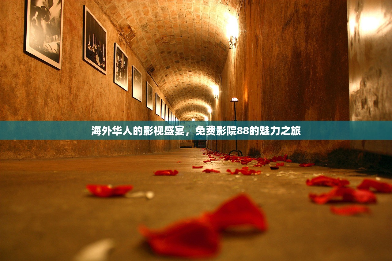 海外华人的影视盛宴，免费影院88的魅力之旅