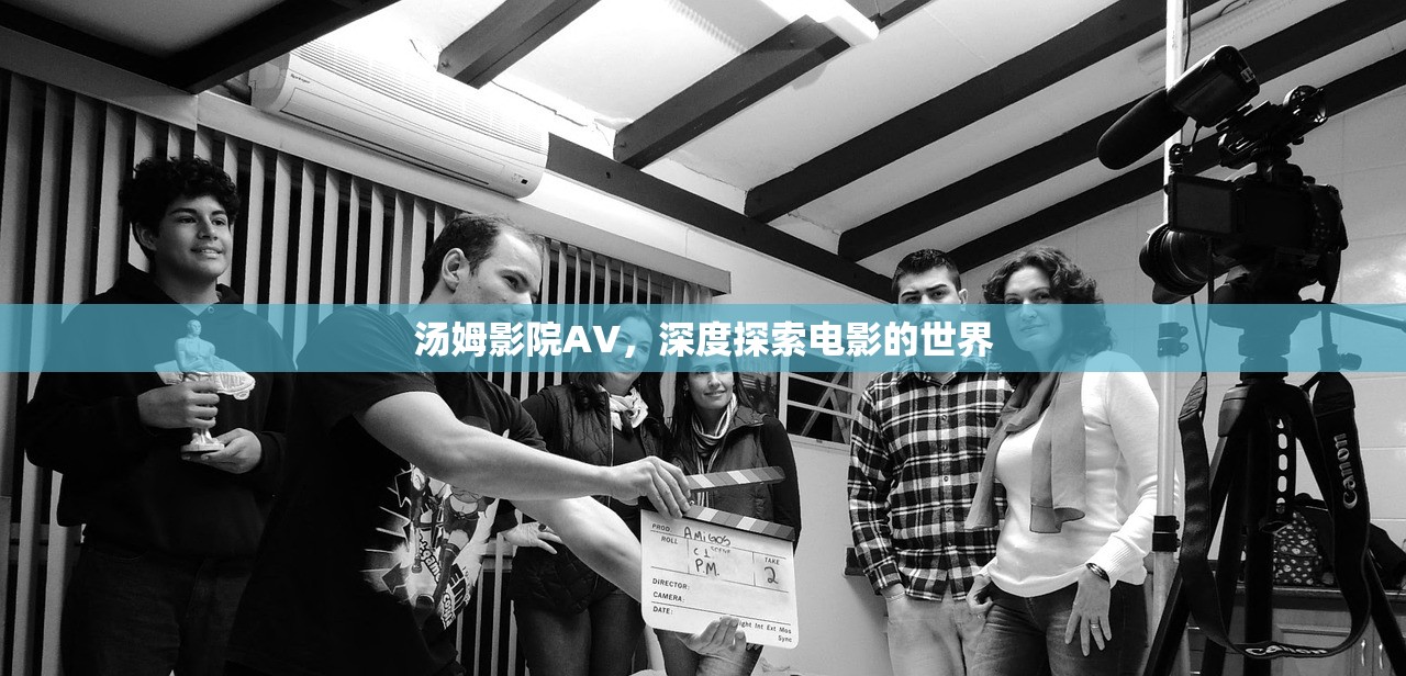 汤姆影院AV，深度探索电影的世界