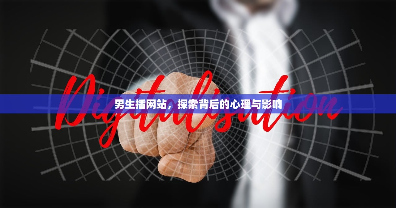男生插网站，探索背后的心理与影响