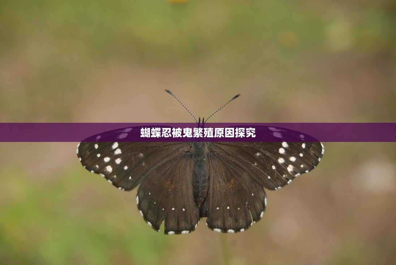 蝴蝶忍被鬼繁殖原因探究