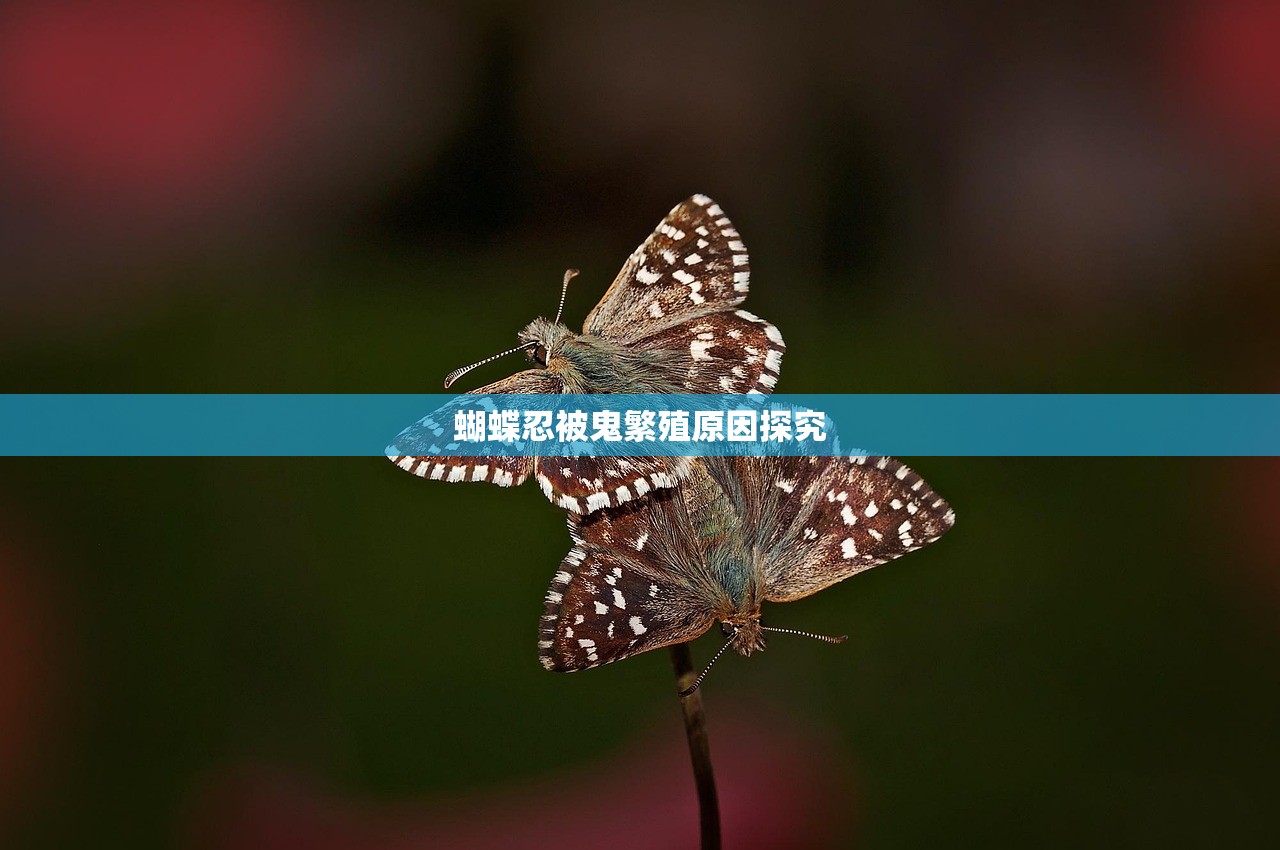 蝴蝶忍被鬼繁殖原因探究