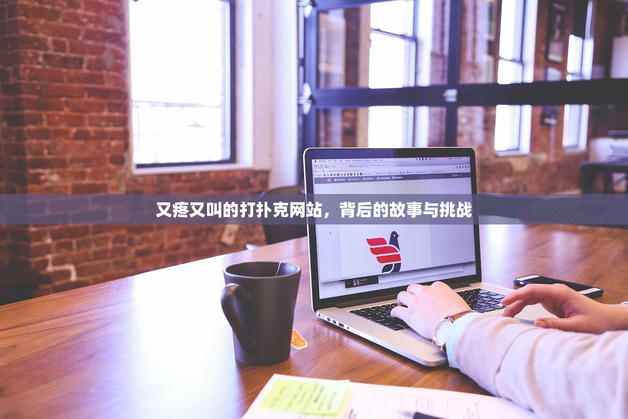 又疼又叫的打扑克网站，背后的故事与挑战
